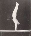 Thumbnail for version as of 14:24, 9 September 2021
