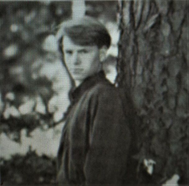 File:1994 Wittwer 3.jpg