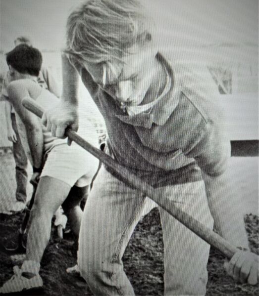 File:1994 Wittwer 4.jpg